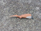 photo thumbnail #9