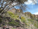 photo thumbnail #4