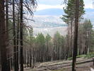 photo thumbnail #10