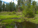 photo thumbnail #4