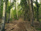photo thumbnail #8