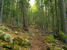 photo thumbnail #9