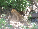 photo thumbnail #8
