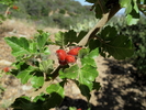 photo thumbnail #11