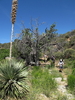 photo thumbnail #13