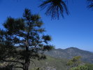 photo thumbnail #8
