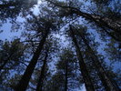 photo thumbnail #13
