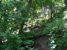 photo thumbnail #15