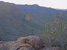 photo thumbnail #4