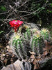 photo thumbnail #14
