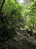 photo thumbnail #15