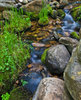 photo thumbnail #1