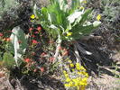 photo thumbnail #7
