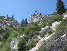 photo thumbnail #10