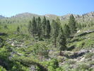 photo thumbnail #15