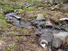 photo thumbnail #12