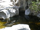 photo thumbnail #11