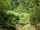 photo thumbnail #15