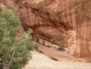 photo thumbnail #14