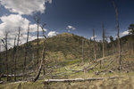 photo thumbnail #2