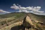 photo thumbnail #7