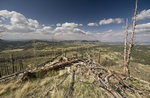photo thumbnail #8