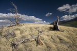photo thumbnail #10