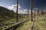 photo thumbnail #13