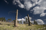 photo thumbnail #15