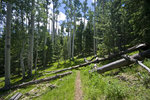 photo thumbnail #2