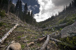 photo thumbnail #12