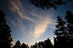 photo thumbnail #15