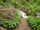 photo thumbnail #3