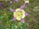 photo thumbnail #10