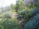 photo thumbnail #2