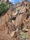 photo thumbnail #5