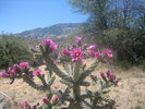 photo thumbnail #5