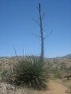 photo thumbnail #6