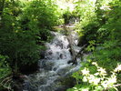 photo thumbnail #9