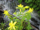 photo thumbnail #12