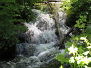photo thumbnail #13