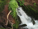 photo thumbnail #14