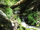 photo thumbnail #15