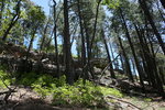 photo thumbnail #4