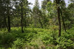 photo thumbnail #12