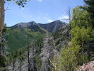 photo thumbnail #8