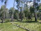 photo thumbnail #11