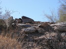 photo thumbnail #5