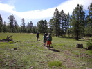photo thumbnail #5