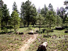 photo thumbnail #6